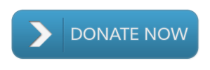 Donate-Button